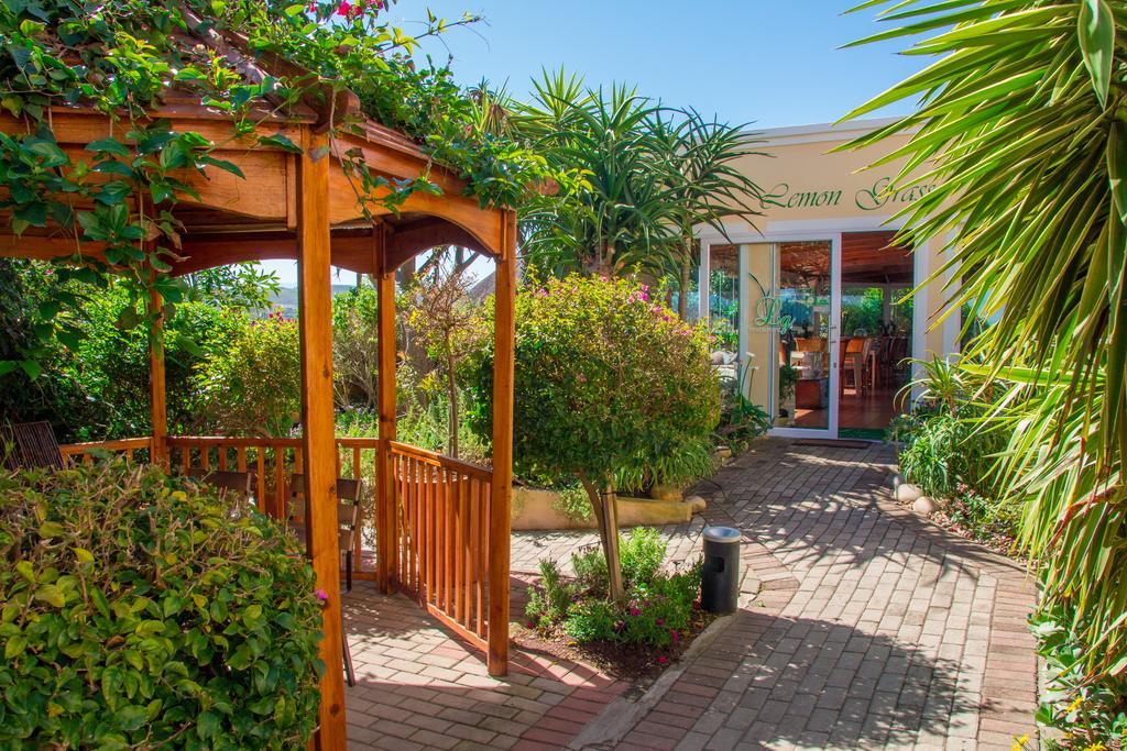 Milkwood Manor On Sea Bed and Breakfast Plettenberg Bay Exteriör bild